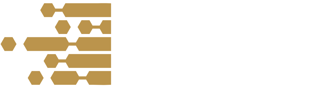 ZZP Web Start